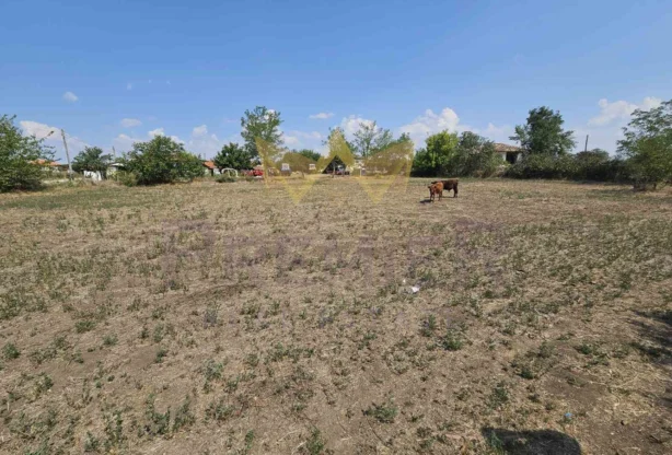 Агенция за недвижими имоти - Имоти Премиер - имот - 786177, Цена: 12000 EUR