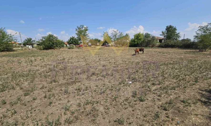 350098 - - снимка 1 - Имоти Премиер