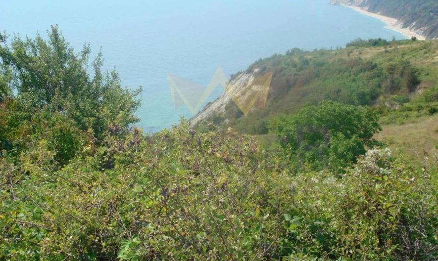 350206 -  - снимка 5 - Имоти Премиер