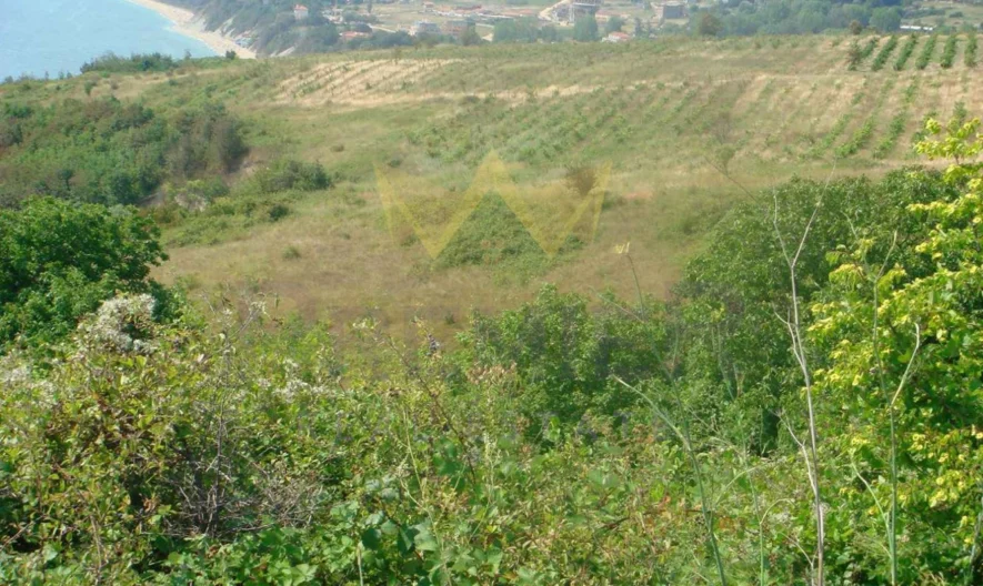 350206 -  - снимка 6 - Имоти Премиер