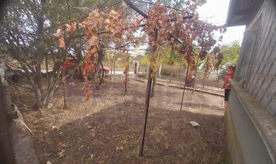 350975 -  - снимка 22 - Имоти Премиер