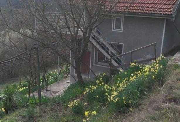 Агенция за недвижими имоти - Имоти Премиер - имот - 895263, Цена: 46600 EUR