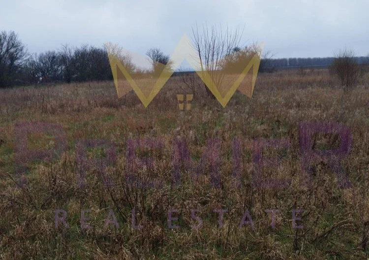 355585 -  - снимка 2 - Имоти Премиер