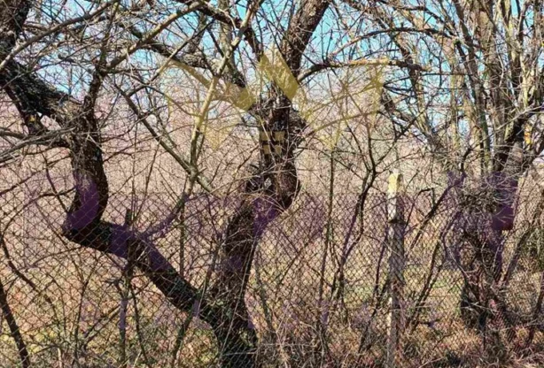 Агенция за недвижими имоти - Имоти Премиер - имот - 848184, Цена: 35000 EUR