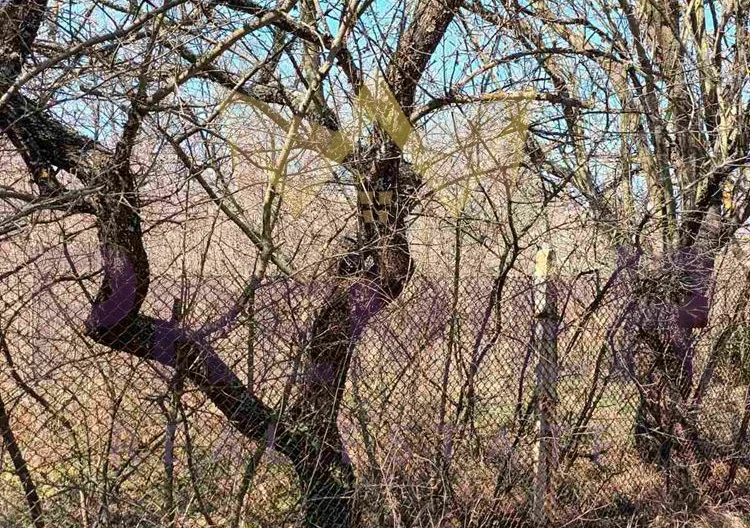 356393 - - снимка 2 - Имоти Премиер