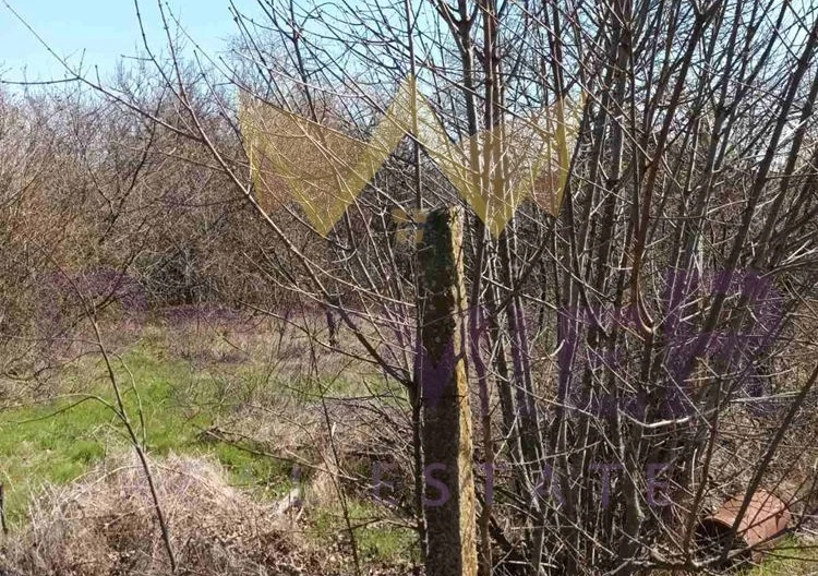 356393 - - снимка 3 - Имоти Премиер