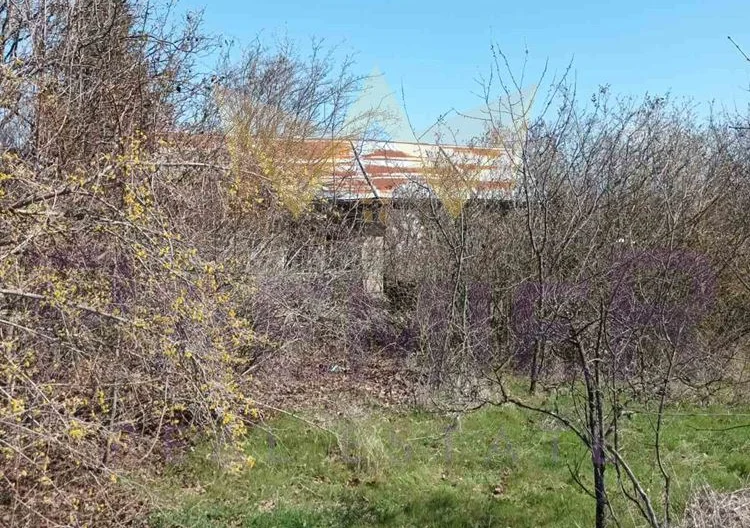 356393 -  - снимка 4 - Имоти Премиер