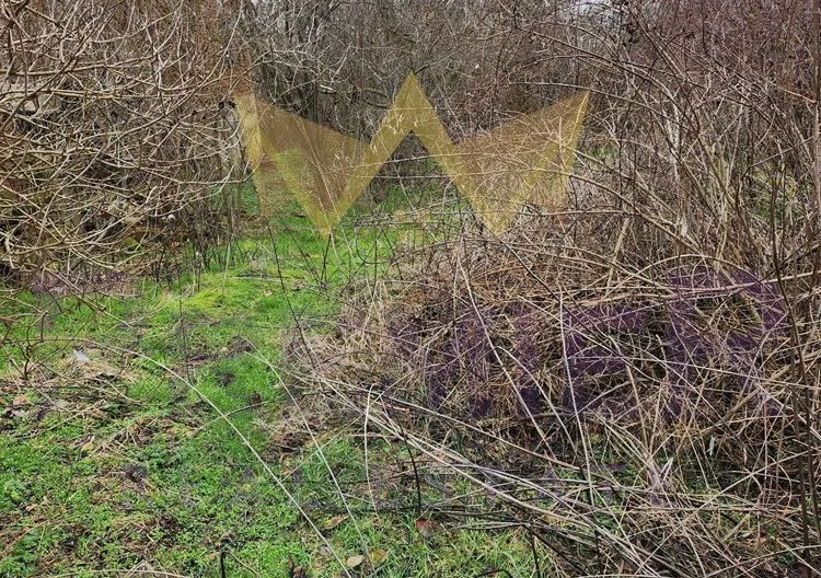 357680 -  - снимка 1 - Имоти Премиер