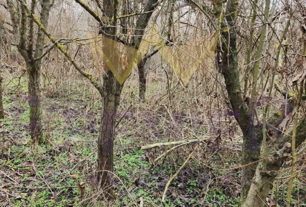 Агенция за недвижими имоти - Имоти Премиер - имот - 894581, Цена: 8800 EUR