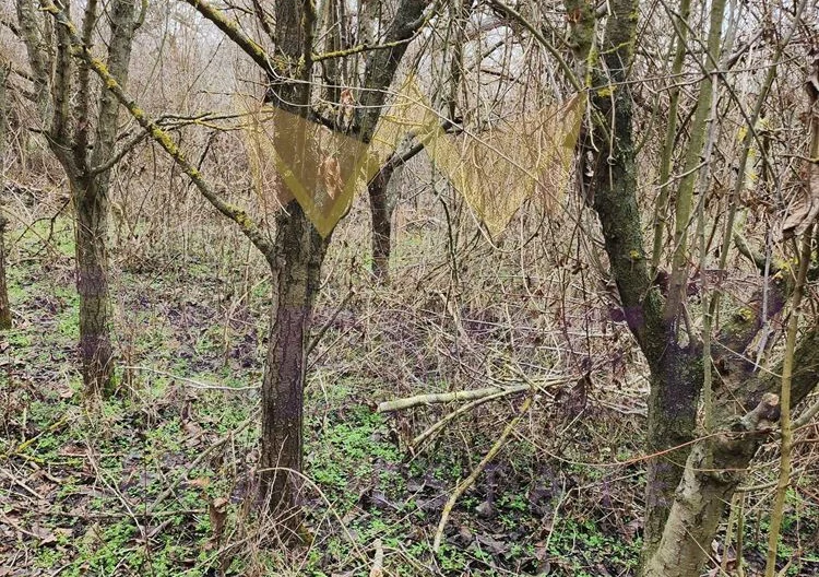 357680 -  - снимка 3 - Имоти Премиер