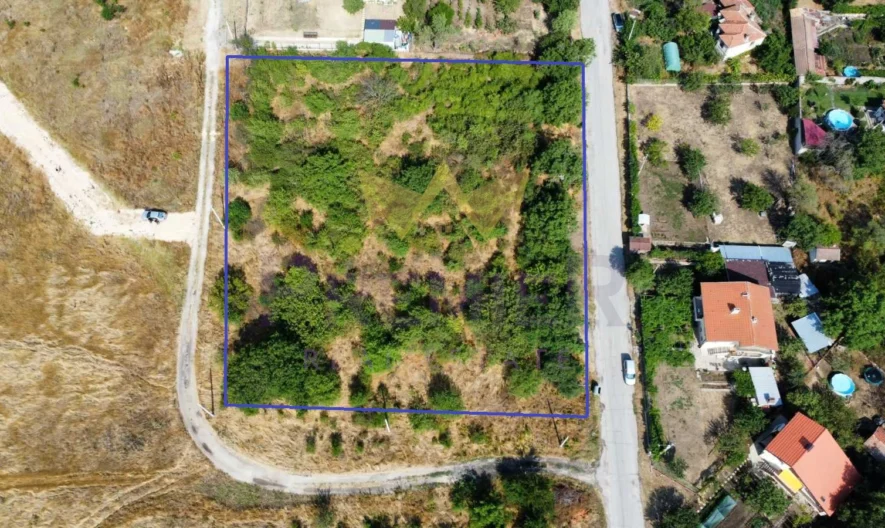 360790 - - снимка 1 - Имоти Премиер