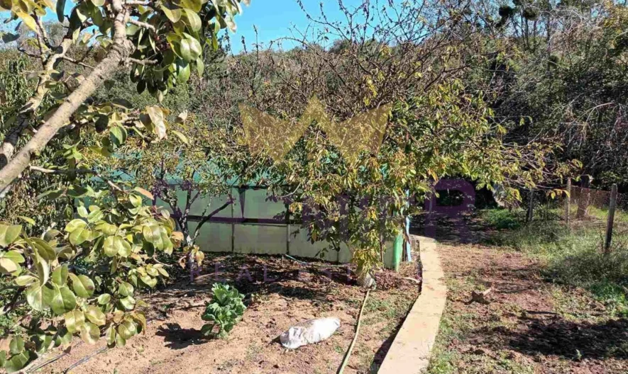 361883 - - снимка 19 - Имоти Премиер