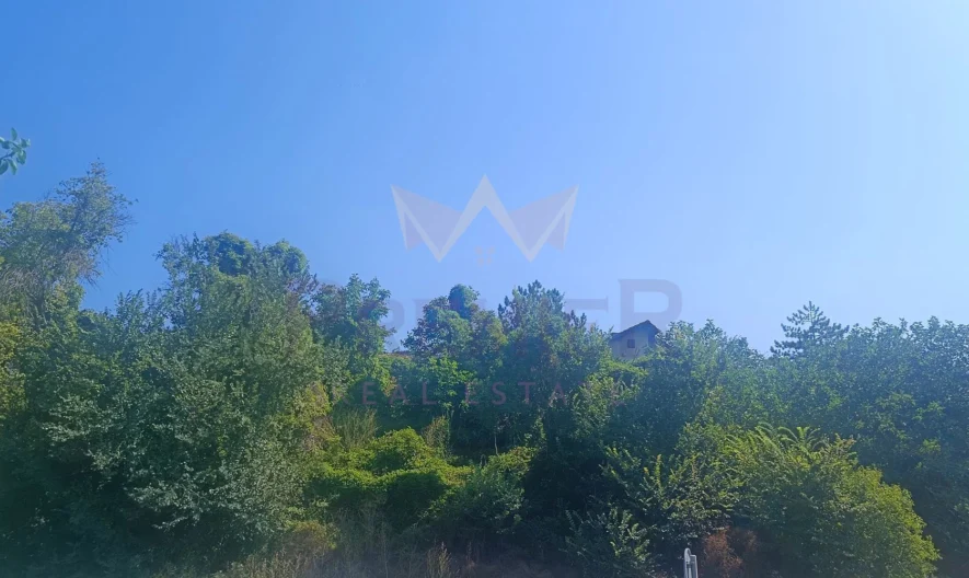 371082 - - снимка 5 - Имоти Премиер