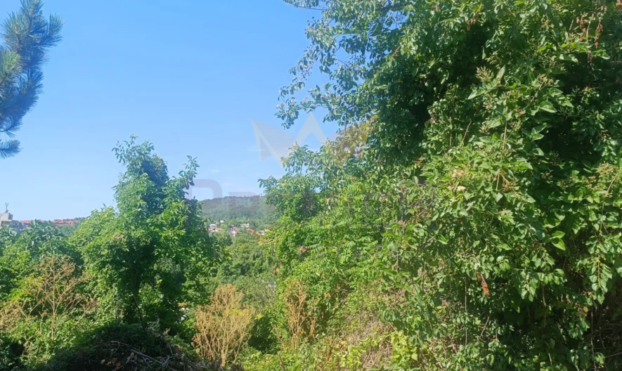 371082 - - снимка 6 - Имоти Премиер