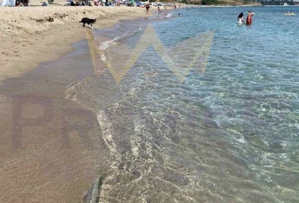 Агенция за недвижими имоти - Имоти Премиер - имот - 1160825, Цена: 133000 EUR