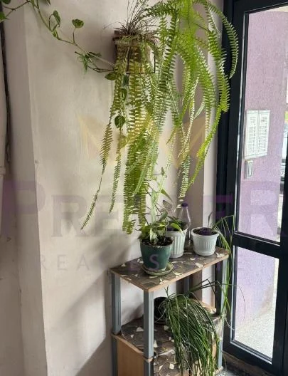 379467 -  - снимка 9 - Имоти Премиер