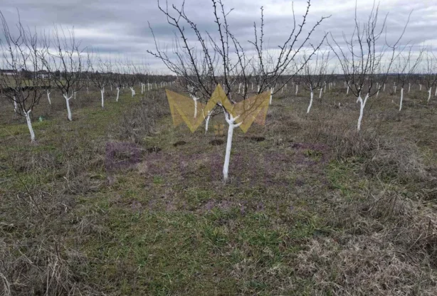 Агенция за недвижими имоти - Имоти Премиер - имот - 980283, Цена: 95000 EUR