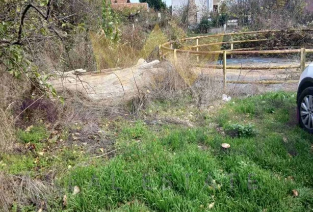 Агенция за недвижими имоти - Имоти Премиер - имот - 1179232, Цена: 129000 EUR