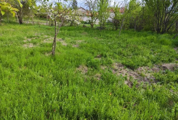 Агенция за недвижими имоти - Имоти Премиер - имот - 757839, Цена: 9000 EUR