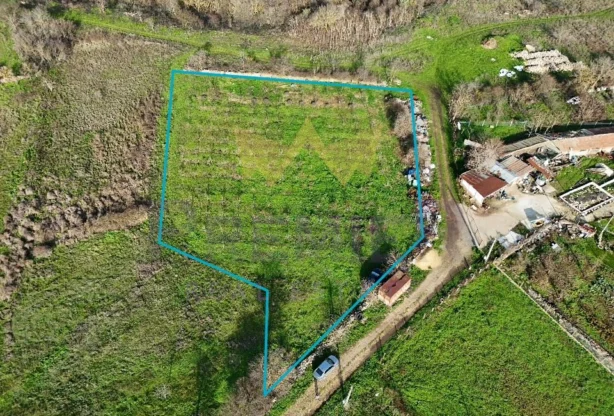 Агенция за недвижими имоти - Имоти Премиер - имот - 1108102, Цена: 59000 EUR