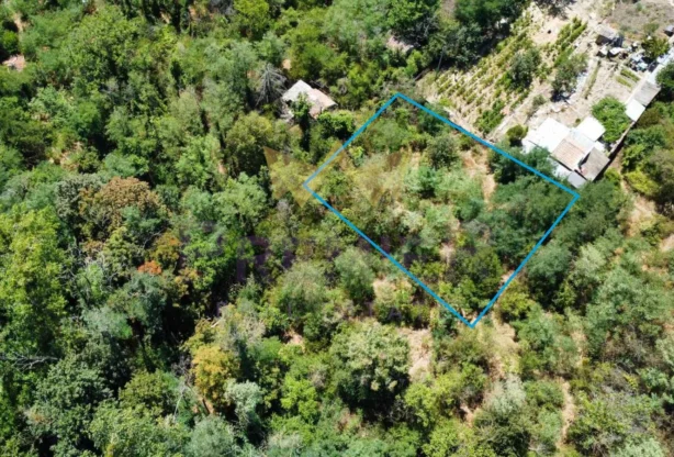 Агенция за недвижими имоти - Имоти Премиер - имот - 1056129, Цена: 36300 EUR