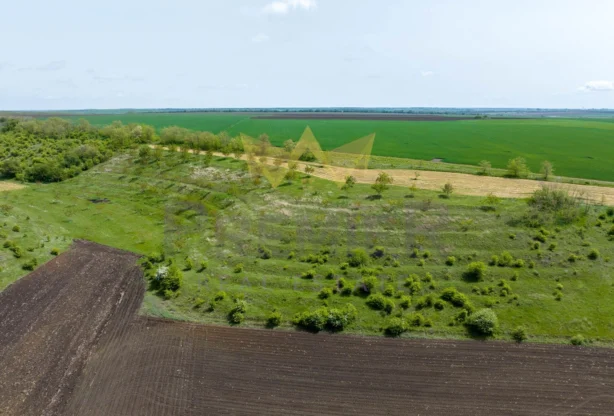 Агенция за недвижими имоти - Имоти Премиер - имот - 1006116, Цена: 20451.68 EUR