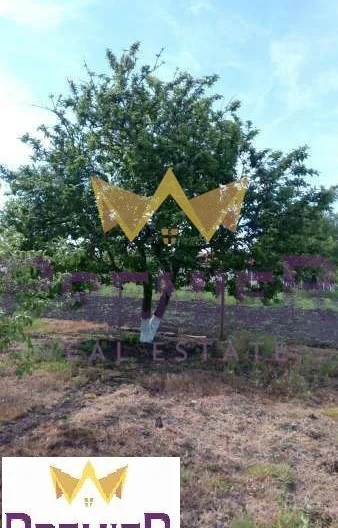 בית בן שלוש קומות עם חצר גדולה ומוריקה בכפר חאג’י דימיטר, בסמוך לקברנה -  - snimka 11 - Imoti Premier