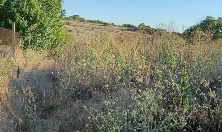 מגרש עם מבנים רשומים בטאבו בכפר נייקובו, מחוז דוברייץ’ -  - snimka 3 - Imoti Premier