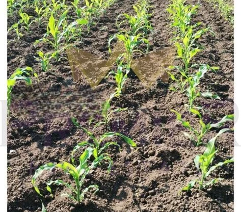 Агенция за недвижими имоти - Имоти Премиер - имот - 1032530, Цена: 22000 EUR