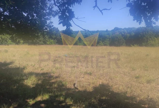 Агенция за недвижими имоти - Имоти Премиер - имот - 964684, Цена: 45550 EUR