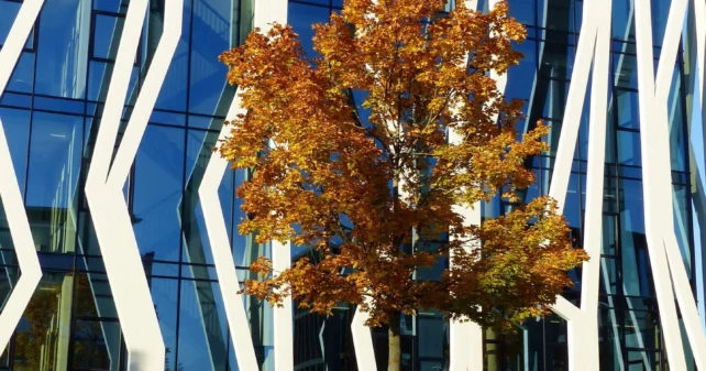 Апорт на недвижим имот – какво означава?