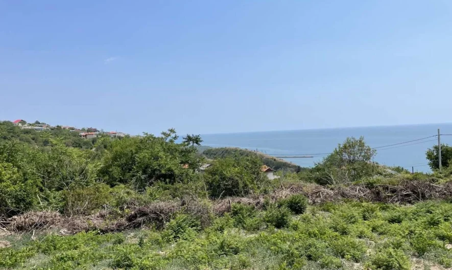 Агенция за недвижими имоти - Имоти Премиер - имот - 828400, Цена: 100000 EUR