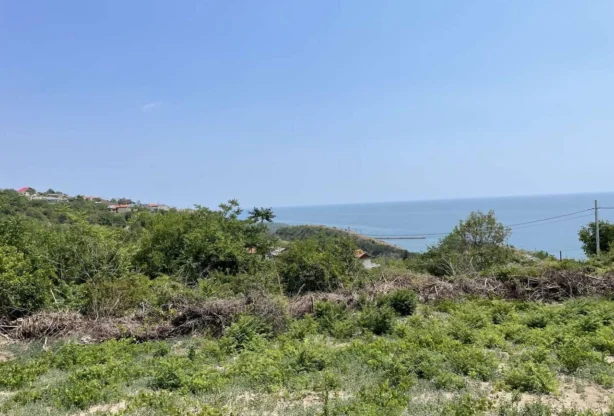 Агенция за недвижими имоти - Имоти Премиер - имот - 828400, Цена: 100000 EUR