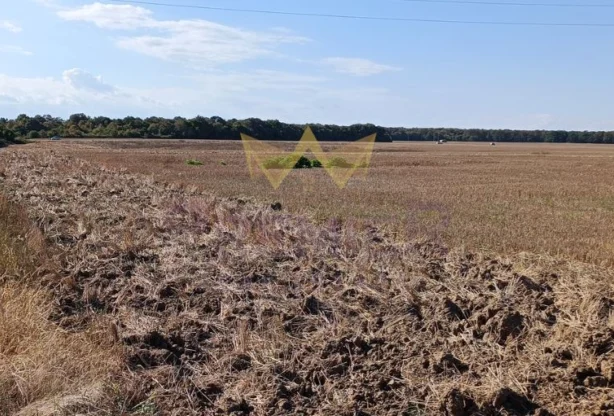 Агенция за недвижими имоти - Имоти Премиер - имот - 1093444, Цена: 493500 EUR