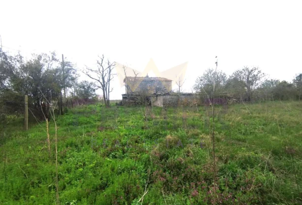 Агенция за недвижими имоти - Имоти Премиер - имот - 1010656, Цена: 49900 EUR