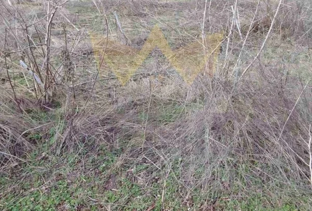 Агенция за недвижими имоти - Имоти Премиер - имот - 733467, Цена: 1140000 EUR