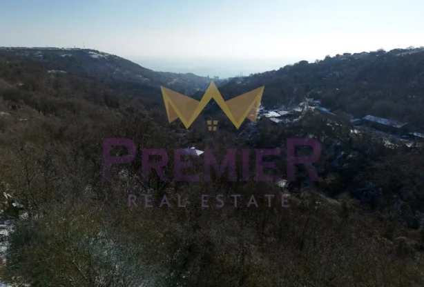 Агенция за недвижими имоти - Имоти Премиер - имот - 1164491, Цена: 42000 EUR