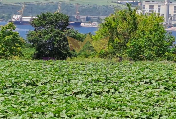 Агенция за недвижими имоти - Имоти Премиер - имот - 895080, Цена: 31000 EUR