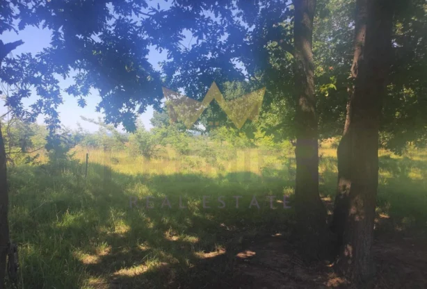 Агенция за недвижими имоти - Имоти Премиер - имот - 964684, Цена: 45550 EUR