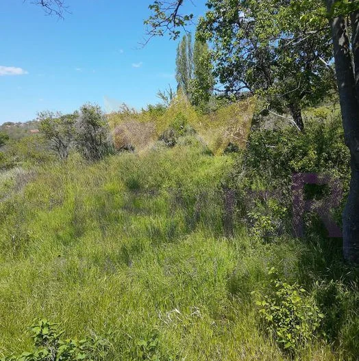 Два парцела в м-т Изгрев, гр. Варна -  - снимка 1 - Имоти Премиер