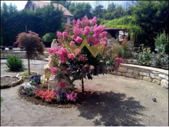 Два парцела в с.Долище -  - снимка 1 - Имоти Премиер