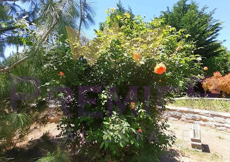 Два парцела в с.Долище -  - снимка 11 - Имоти Премиер