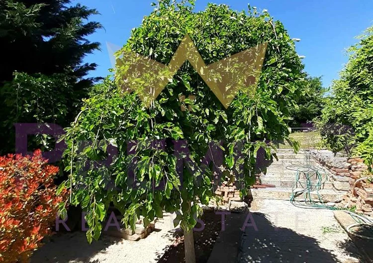 Два парцела в с.Долище -  - снимка 11 - Имоти Премиер