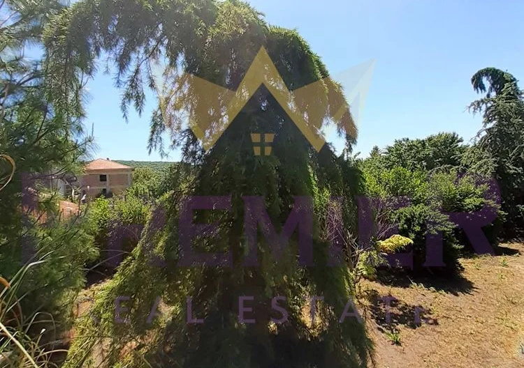 Два парцела в с.Долище -  - снимка 13 - Имоти Премиер