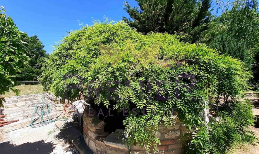 Два парцела в с.Долище -  - снимка 17 - Имоти Премиер