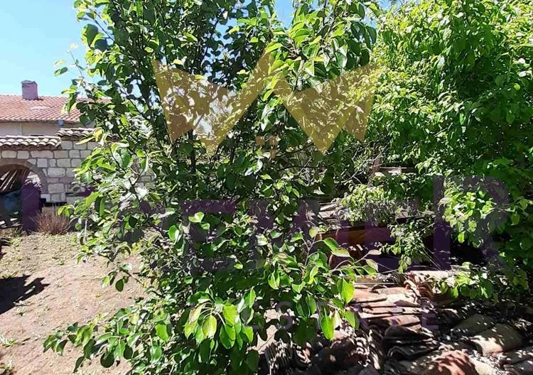 Два парцела в с.Долище -  - снимка 19 - Имоти Премиер