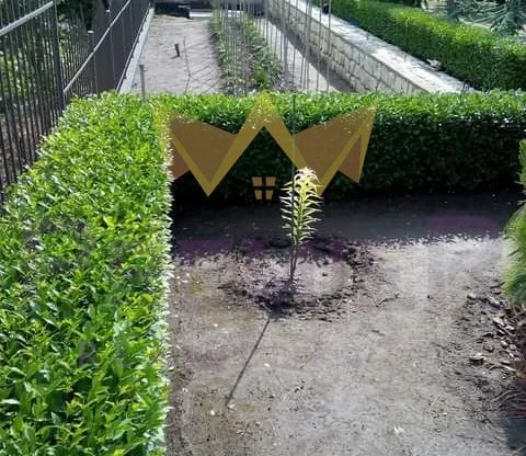 Агенция за недвижими имоти - Имоти Премиер - имот - 695783, Цена: 35000 EUR