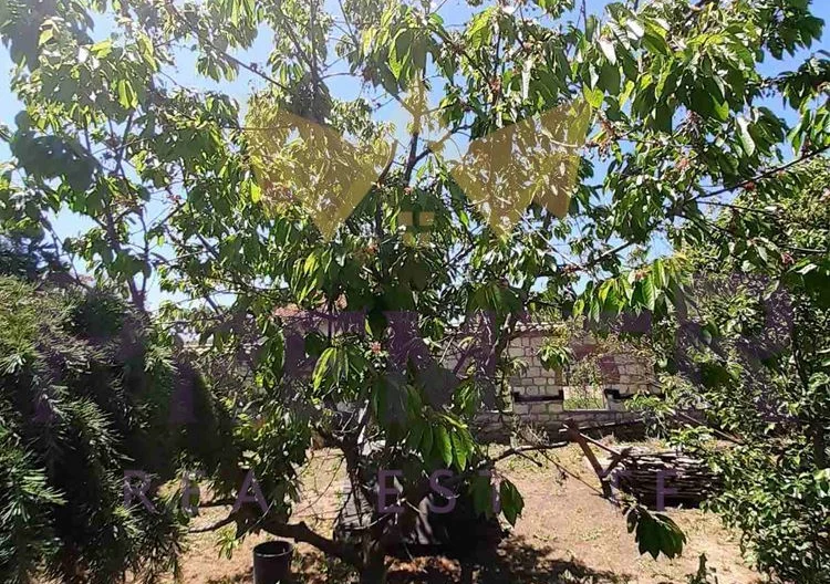 Два парцела в с.Долище -  - снимка 20 - Имоти Премиер