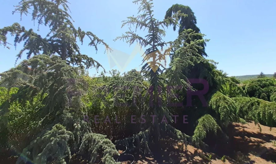 Два парцела в с.Долище -  - снимка 22 - Имоти Премиер