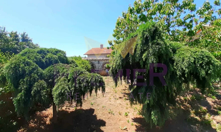 Два парцела в с.Долище -  - снимка 23 - Имоти Премиер